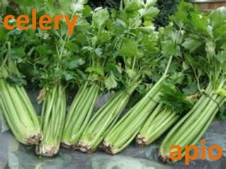 celery
apio
 