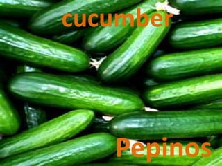 cucumber
Pepinos
 