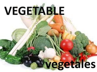 VEGETABLE
vegetales
 