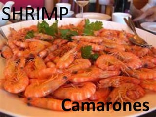 SHRIMP
Camarones
 