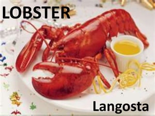 LOBSTER
Langosta
 