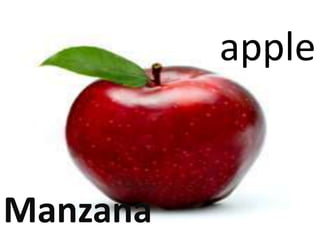 apple
Manzana
 