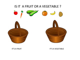 IS IT A FRUIT OR A VEGETABLE ?

IT’S A FRUIT

IT’S A VEGETABLE

 