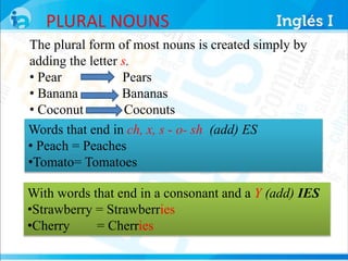 PLURAL NOUNS 
The plural form of most nouns is created simply by 
adding the letter s. 
• Pear Pears 
• Banana Bananas 
• Coconut Coconuts 
Words that end in ch, x, s - o- sh (add) ES 
• Peach = Peaches 
•Tomato= Tomatoes 
With words that end in a consonant and a Y (add) IES 
•Strawberry = Strawberries 
•Cherry = Cherries 
 