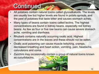 Continued…
• All potatoes contain natural toxins called glycoalkaloids. The levels
are usually low but higher levels are found in potato sprouts, and
the peel of potatoes that taste bitter and causes stomach aches.
• Many types of beans contain toxins called lectins. The highest
concentrations are found in kidney beans, especially red kidney
beans. As few as four or five raw beans can cause severe stomach
ache, vomiting and diarrhoea.
• Rhubarb contains naturally occurring oxalic acid. Highest
concentrations are in the leaves and these should not be eaten.
• Oxalic acid poisoning can cause muscle twitching, cramps,
decreased breathing and heart action, vomiting, pain, headache,
convulsions and coma.
• Zucchini may occasionally contain a group of natural toxins known
as cucurbitacins.
10
 