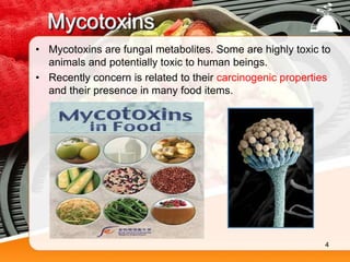 Mycotoxins
• Mycotoxins are fungal metabolites. Some are highly toxic to
animals and potentially toxic to human beings.
• Recently concern is related to their carcinogenic properties
and their presence in many food items.
4
 