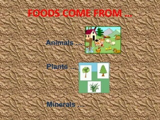 FOODS COME FROM …
Animals …
Plants …
Minerals …
 