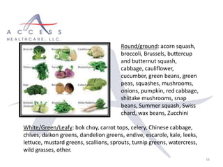 16
White/Green/Leafy: bok choy, carrot tops, celery, Chinese cabbage,
chives, daikon greens, dandelion greens, endive, escarole, kale, leeks,
lettuce, mustard greens, scallions, sprouts, turnip greens, watercress,
wild grasses, other.
Round/ground: acorn squash,
broccoli, Brussels, buttercup
and butternut squash,
cabbage, cauliflower,
cucumber, green beans, green
peas, squashes, mushrooms,
onions, pumpkin, red cabbage,
shiitake mushrooms, snap
beans, Summer squash, Swiss
chard, wax beans, Zucchini
 