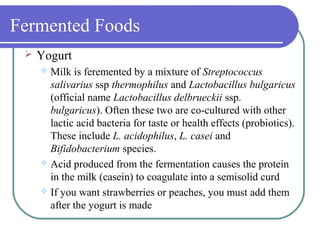 Fermented Foods
 Yogurt
 Milk is feremented by a mixture of Streptococcus
salivarius ssp thermophilus and Lactobacillus bulgaricus
(official name Lactobacillus delbrueckii ssp.
bulgaricus). Often these two are co-cultured with other
lactic acid bacteria for taste or health effects (probiotics).
These include L. acidophilus, L. casei and
Bifidobacterium species.
 Acid produced from the fermentation causes the protein
in the milk (casein) to coagulate into a semisolid curd
 If you want strawberries or peaches, you must add them
after the yogurt is made
 