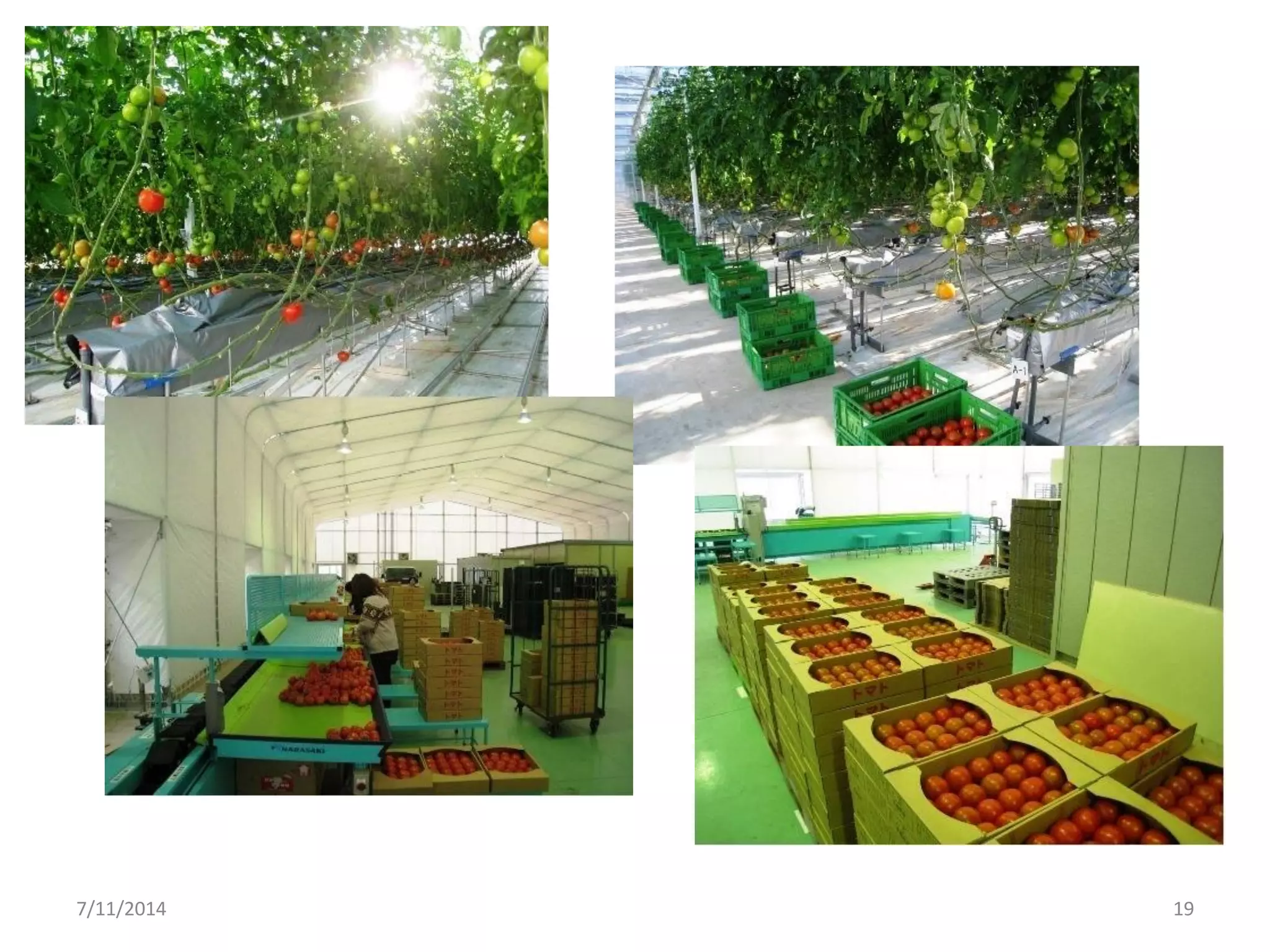 Funding Competition Iscf Future Food Production Systems – BVBKM