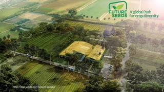 Using agricultural biodiversity to build more resilient food systems