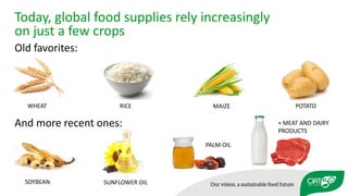 Using agricultural biodiversity to build more resilient food systems