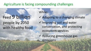 Using agricultural biodiversity to build more resilient food systems