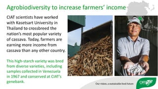 Using agricultural biodiversity to build more resilient food systems