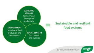 Using agricultural biodiversity to build more resilient food systems