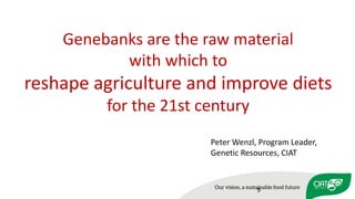 Using agricultural biodiversity to build more resilient food systems