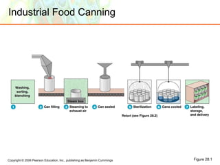 Copyright © 2006 Pearson Education, Inc., publishing as Benjamin Cummings
Industrial Food Canning
Figure 28.1
 