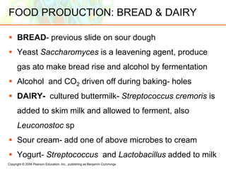 Copyright © 2006 Pearson Education, Inc., publishing as Benjamin Cummings
FOOD PRODUCTION: BREAD & DAIRY
 BREAD- previous slide on sour dough
 Yeast Saccharomyces is a leavening agent, produce
gas ato make bread rise and alcohol by fermentation
 Alcohol and CO2 driven off during baking- holes
 DAIRY- cultured buttermilk- Streptococcus cremoris is
added to skim milk and allowed to ferment, also
Leuconostoc sp
 Sour cream- add one of above microbes to cream
 Yogurt- Streptococcus and Lactobacillus added to milk
 