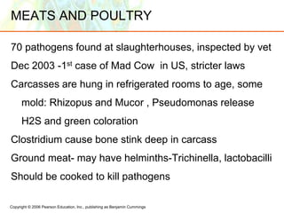 Copyright © 2006 Pearson Education, Inc., publishing as Benjamin Cummings
MEATS AND POULTRY
70 pathogens found at slaughterhouses, inspected by vet
Dec 2003 -1st case of Mad Cow in US, stricter laws
Carcasses are hung in refrigerated rooms to age, some
mold: Rhizopus and Mucor , Pseudomonas release
H2S and green coloration
Clostridium cause bone stink deep in carcass
Ground meat- may have helminths-Trichinella, lactobacilli
Should be cooked to kill pathogens
 