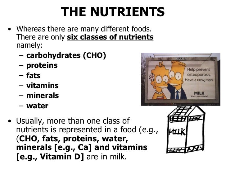 6 classes of nutrients