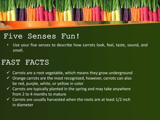 Five Senses Fun!
• Use your five senses to describe how carrots look, feel, taste, sound, and
smell.
FAST FACTS
 Carrots are a root vegetable, which means they grow underground
 Orange carrots are the most recognized, however, carrots can also
be red, purple, white, or yellow in color
 Carrots are typically planted in the spring and may take anywhere
from 2 to 4 months to mature
 Carrots are usually harvested when the roots are at least 1/2 inch
in diameter
 