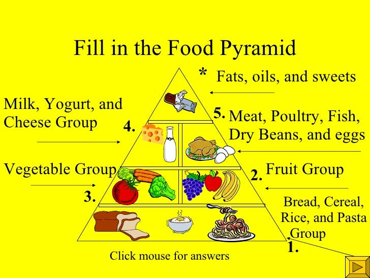 Food Pyramid