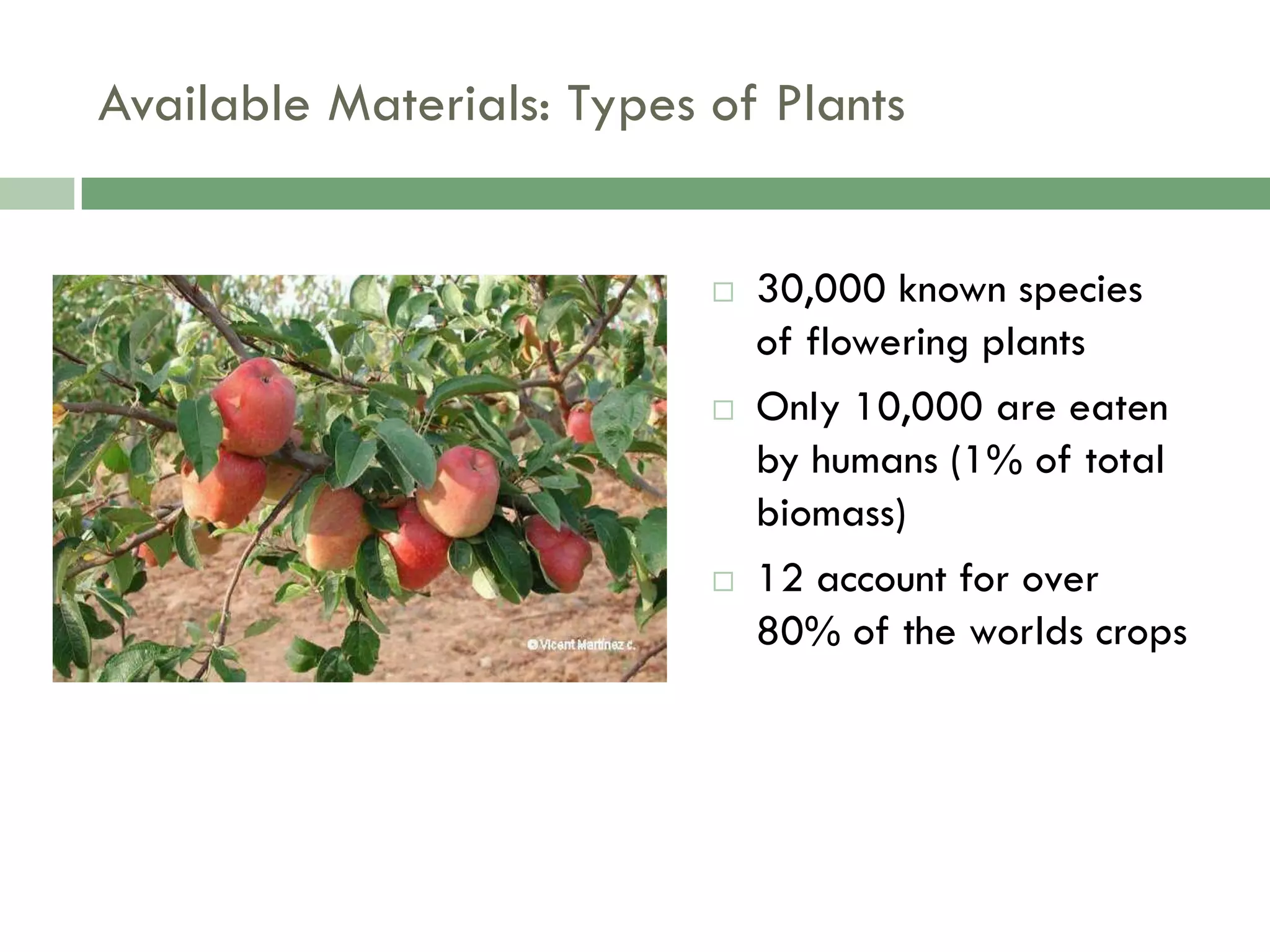 Food Resources Part I - Agriculture