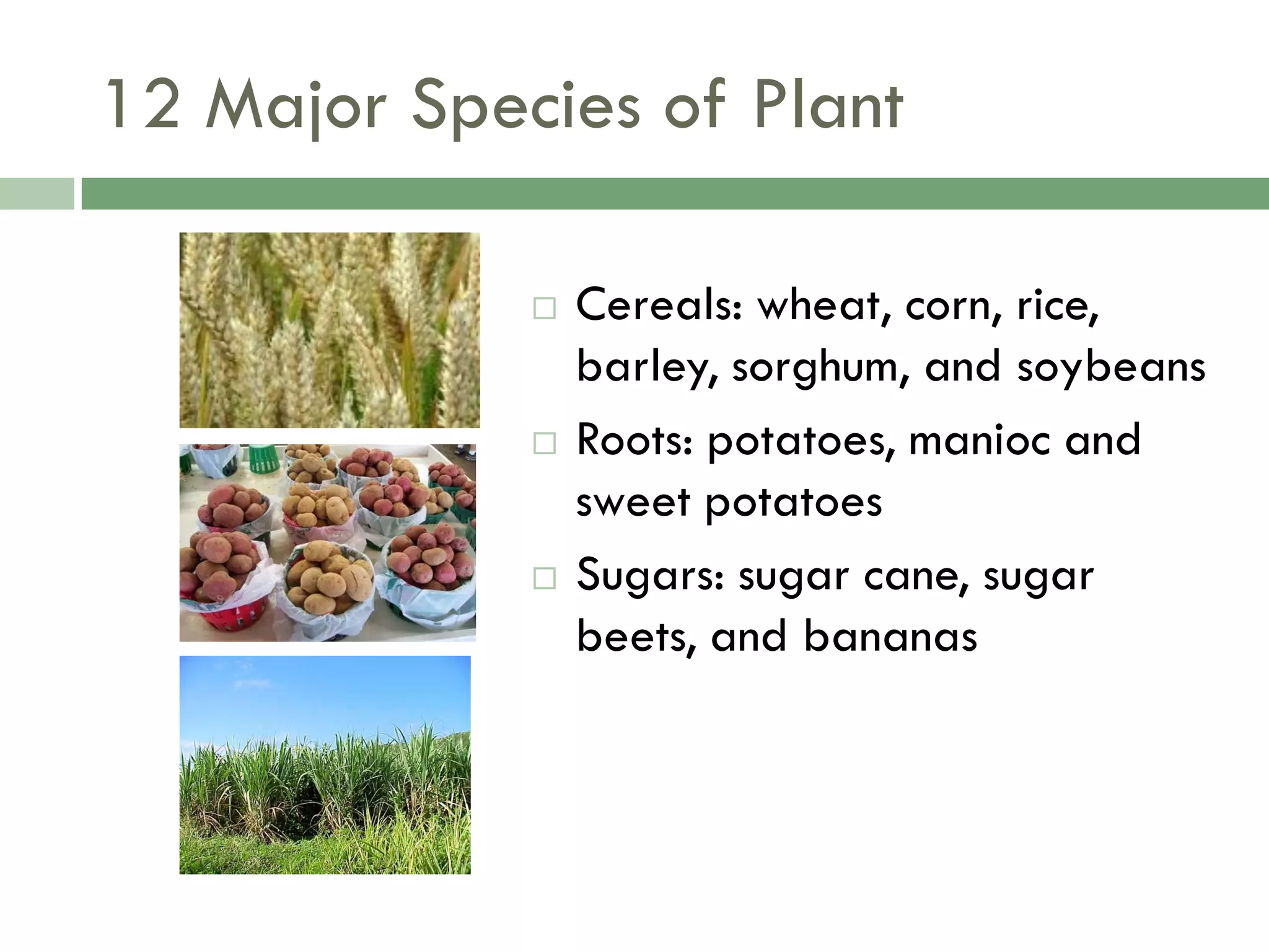 Food Resources Part I - Agriculture