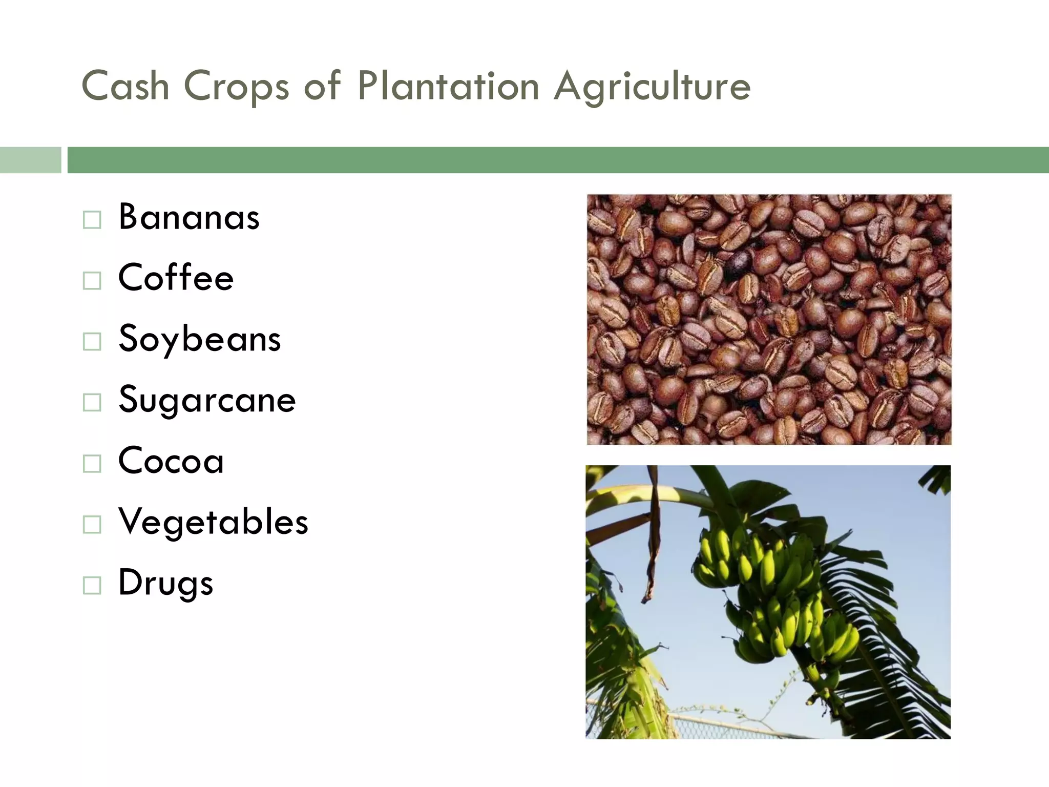 Food Resources Part I - Agriculture