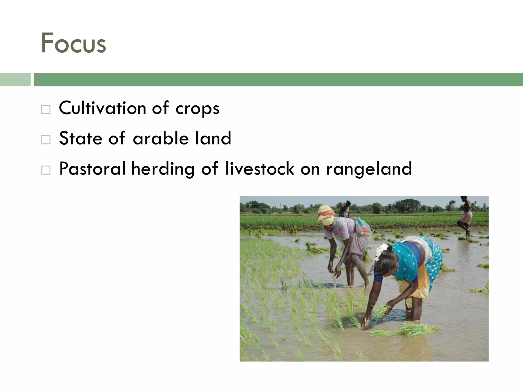 Food Resources Part I - Agriculture