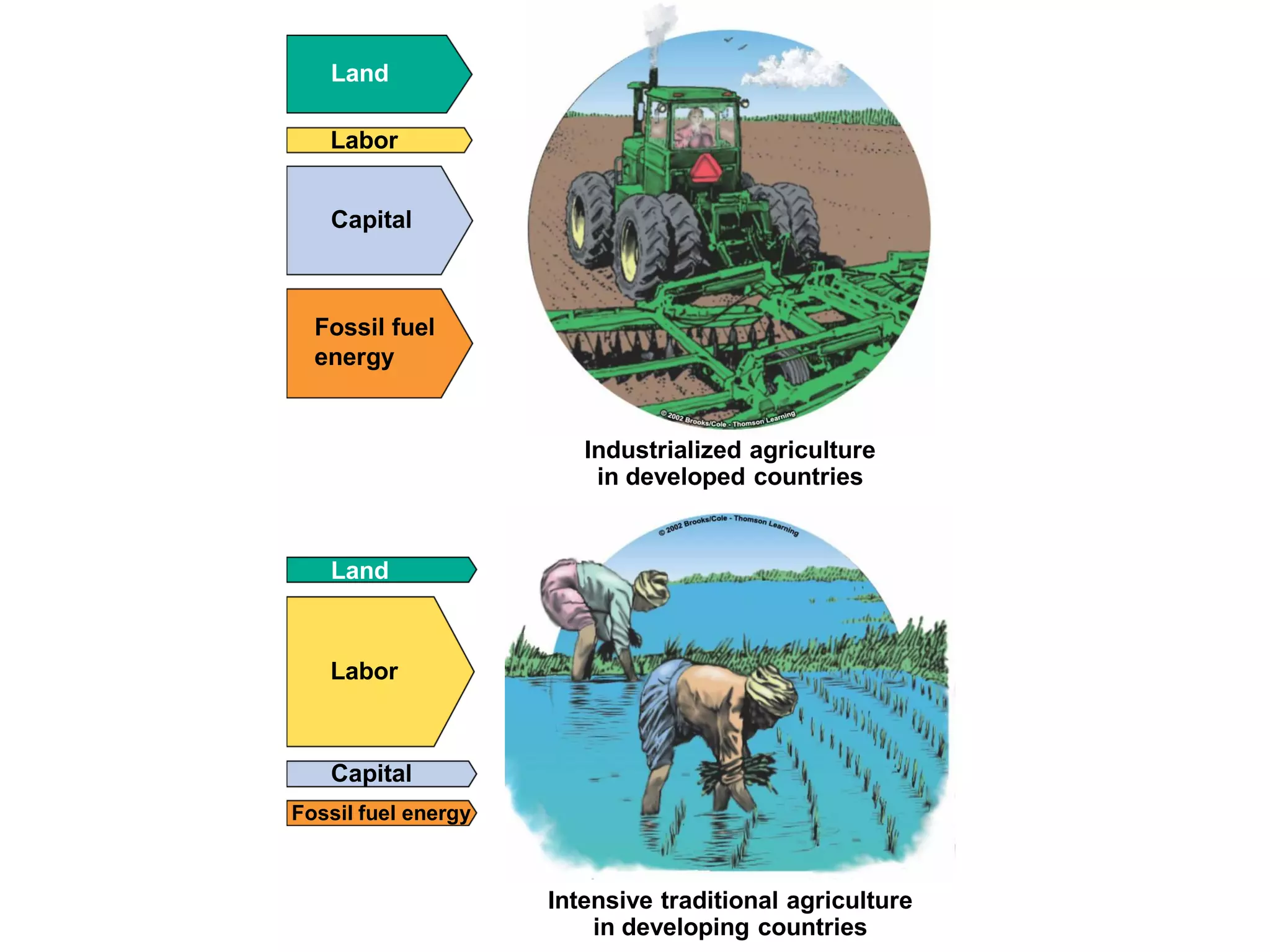 Food Resources Part I - Agriculture