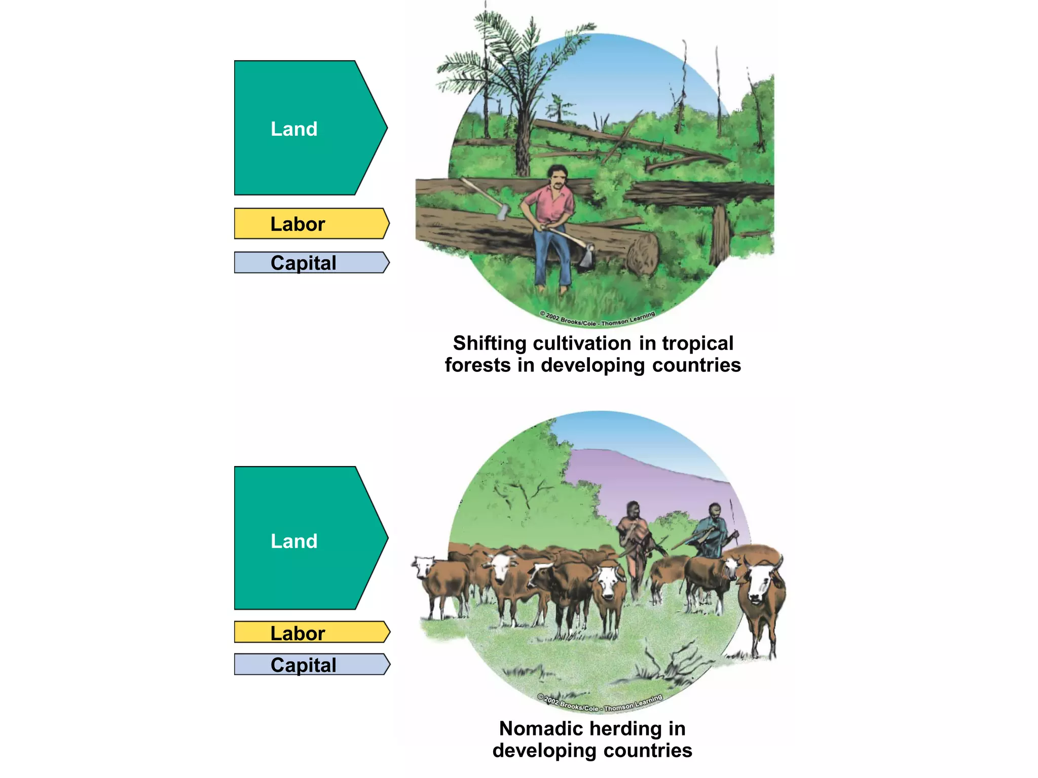 Food Resources Part I - Agriculture