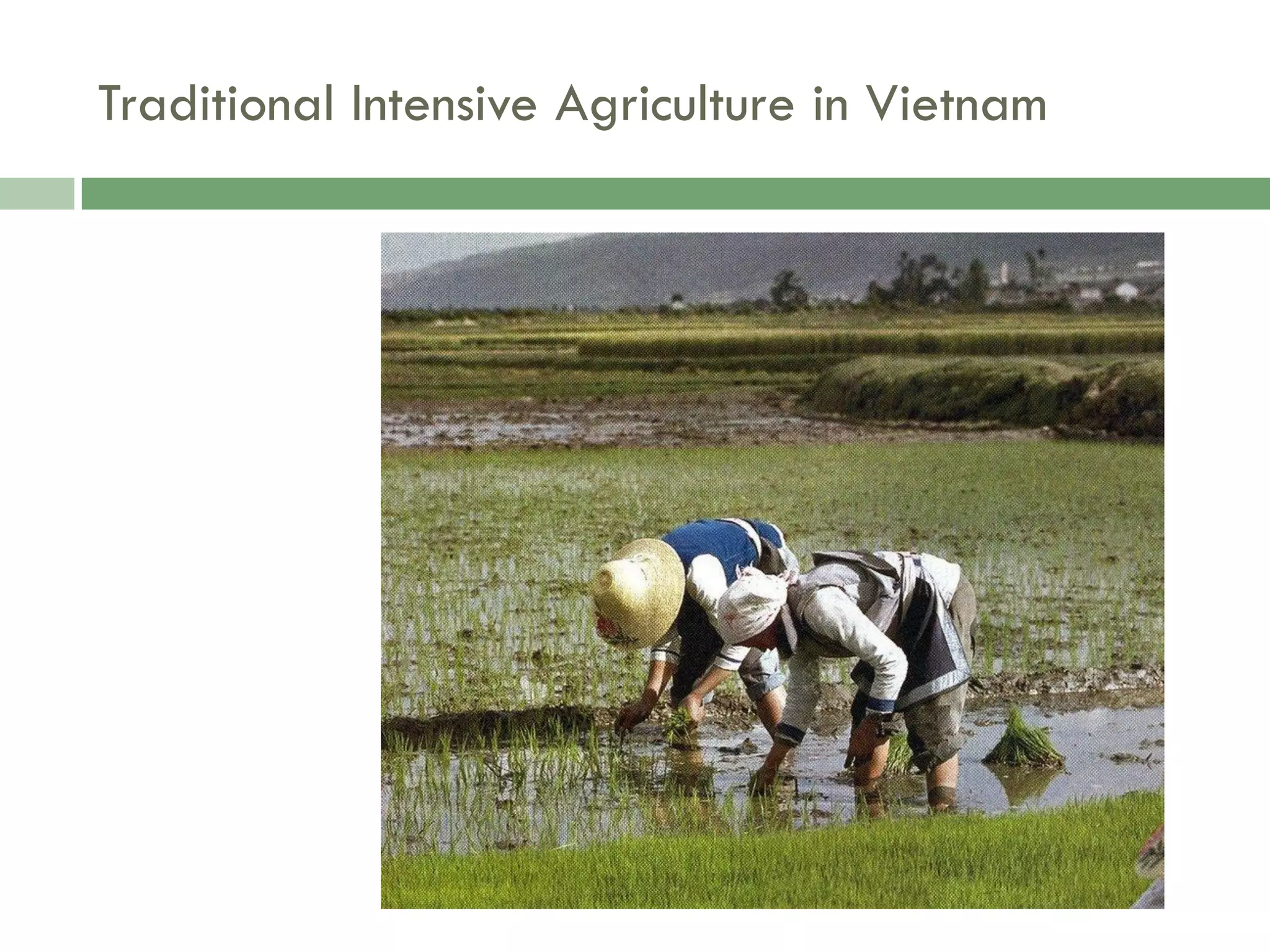 Food Resources Part I - Agriculture