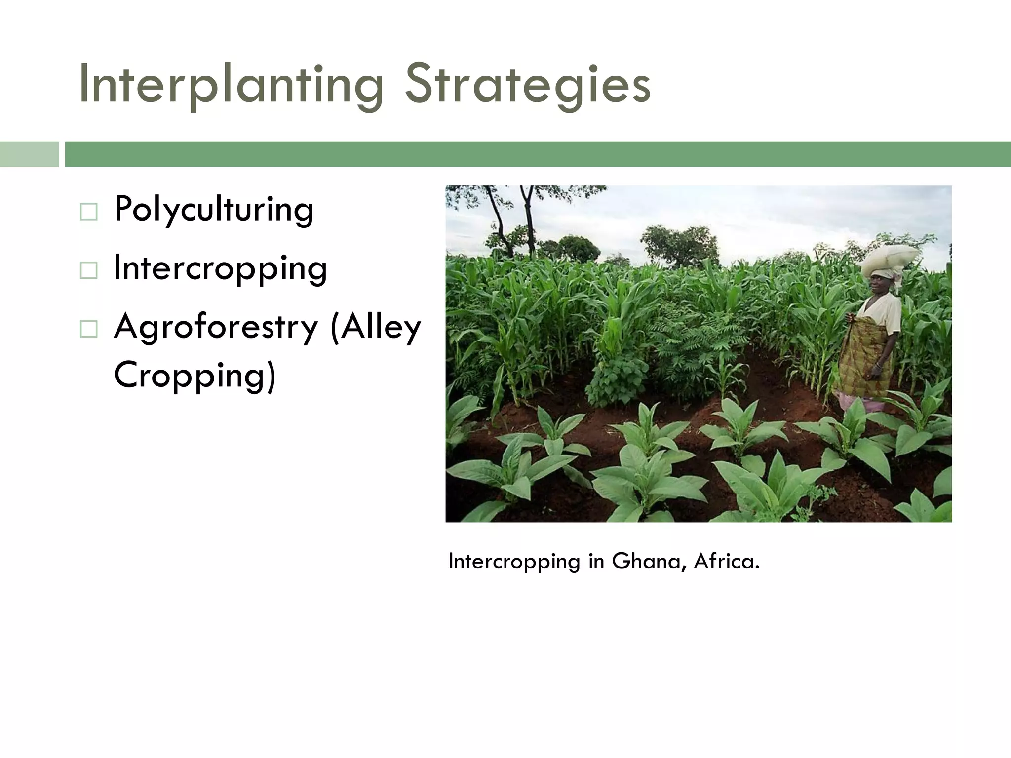 Food Resources Part I - Agriculture