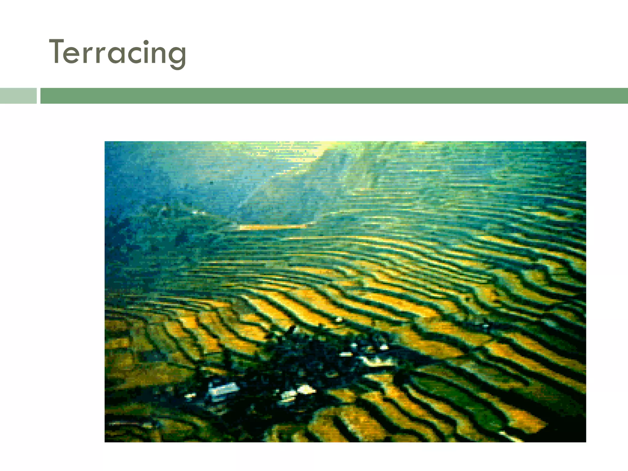 Food Resources Part I - Agriculture