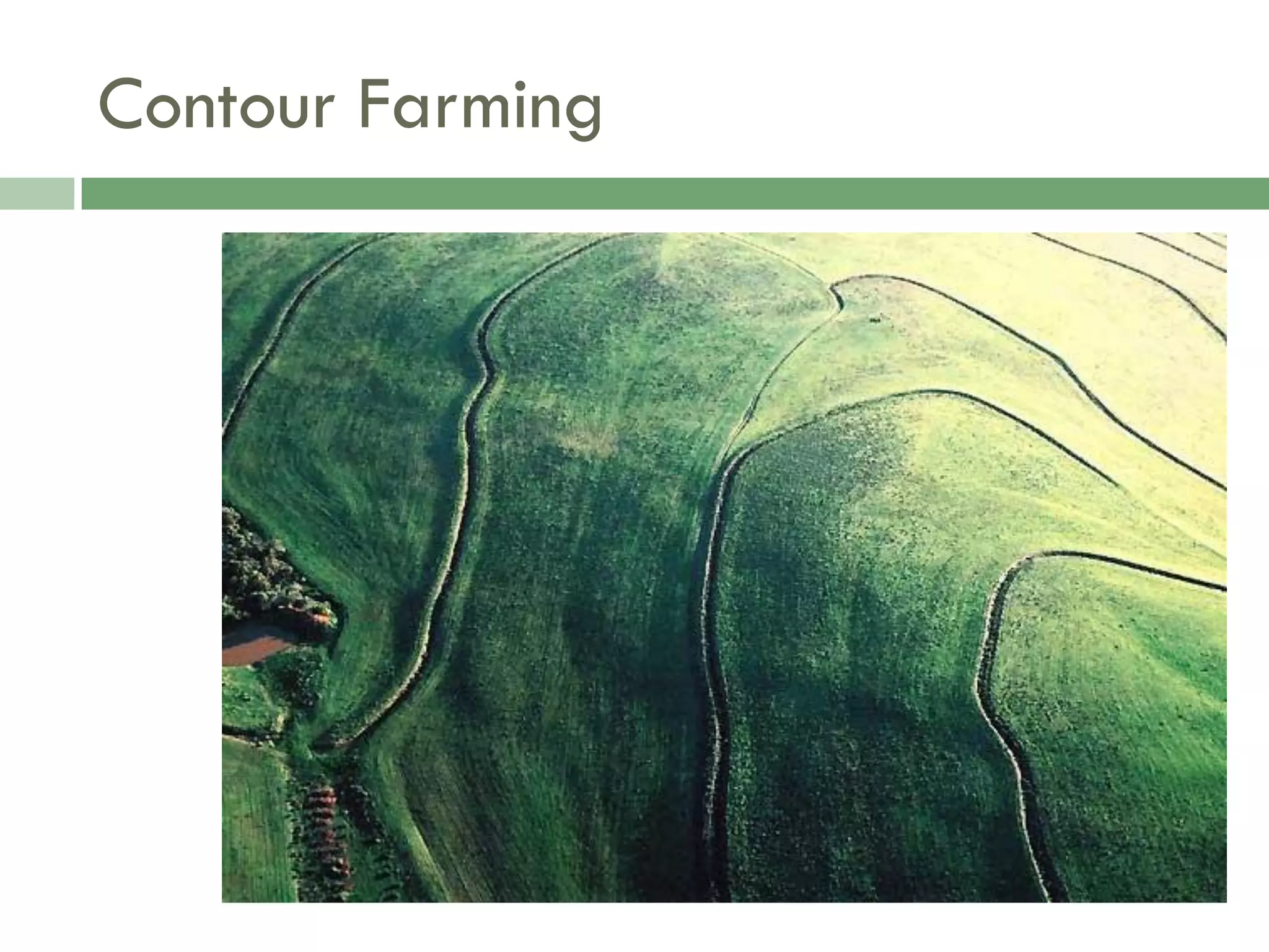 Food Resources Part I - Agriculture