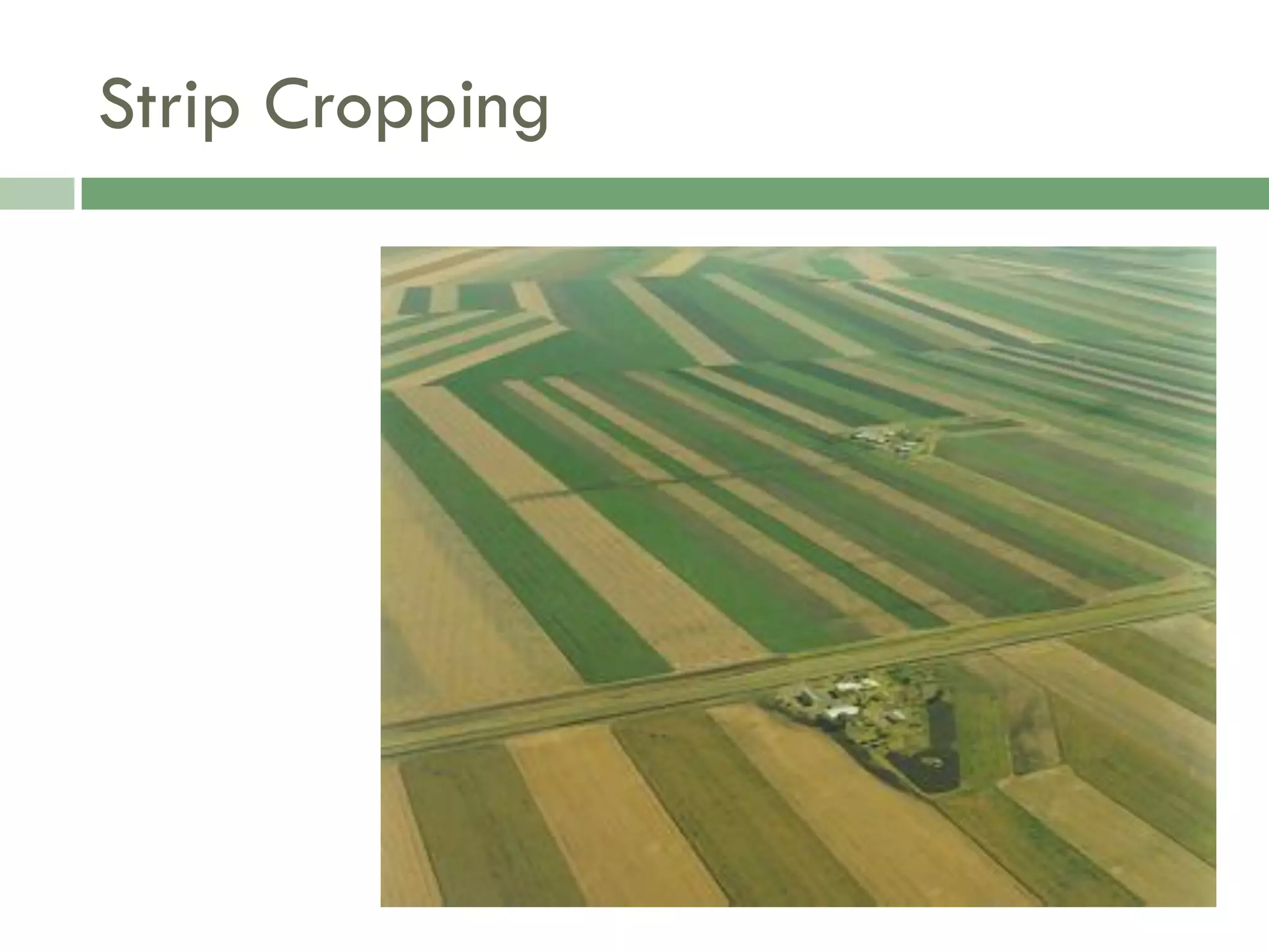 Food Resources Part I - Agriculture