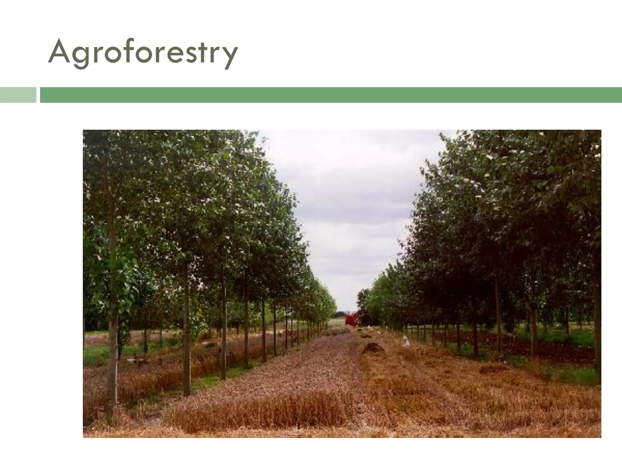 Food Resources Part I - Agriculture