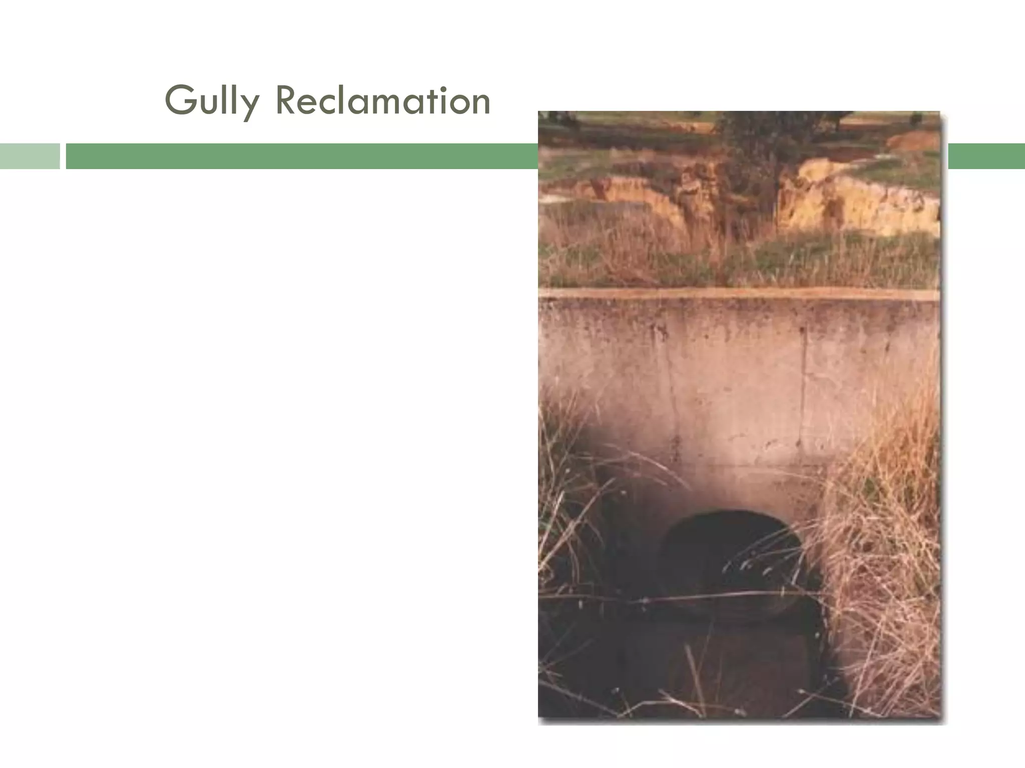 Food Resources Part I - Agriculture