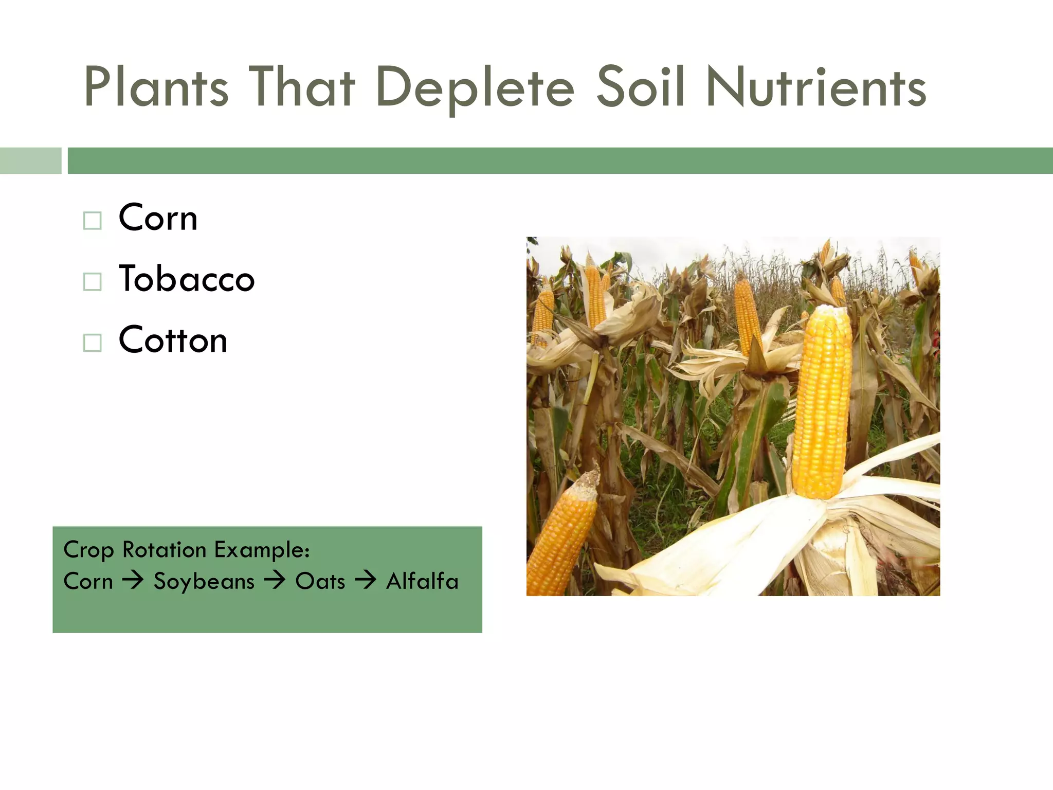 Food Resources Part I - Agriculture