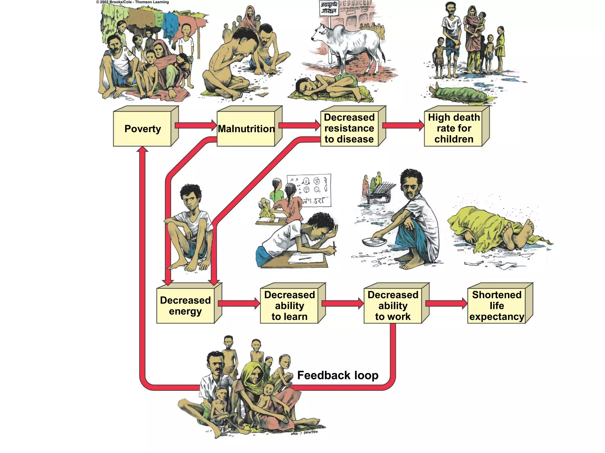 Food Resources Part I - Agriculture
