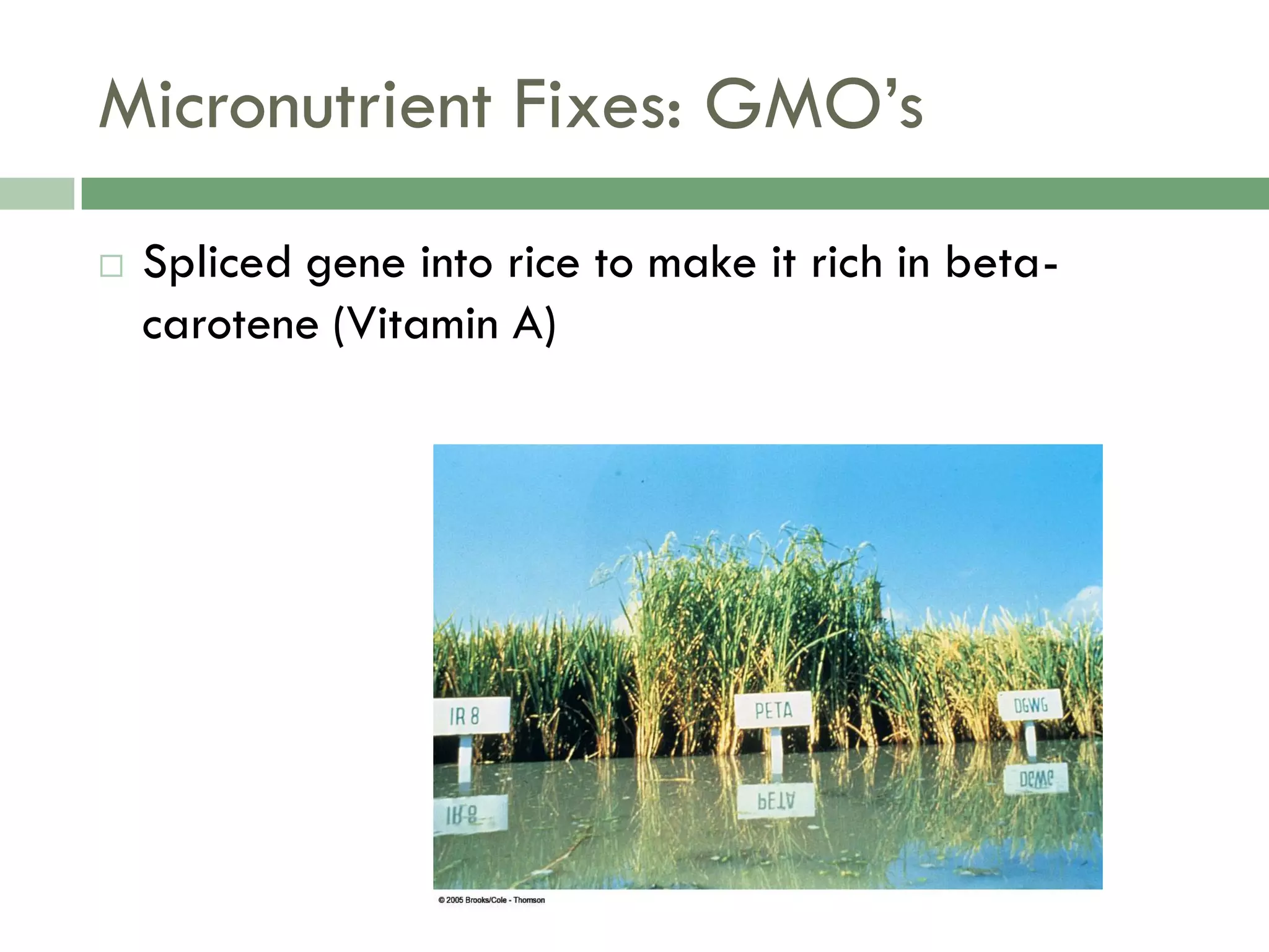 Food Resources Part I - Agriculture