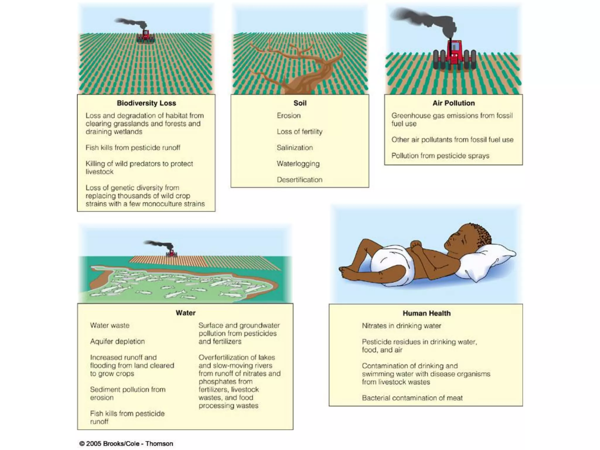 Food Resources Part I - Agriculture