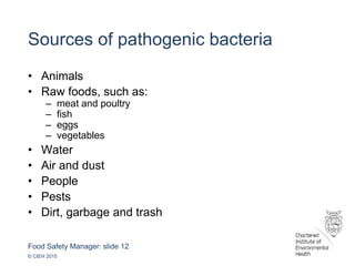 Food Safety Manager: slide 12
© CIEH 2015
• Animals
• Raw foods, such as:
– meat and poultry
– fish
– eggs
– vegetables
• Water
• Air and dust
• People
• Pests
• Dirt, garbage and trash
Sources of pathogenic bacteria
 