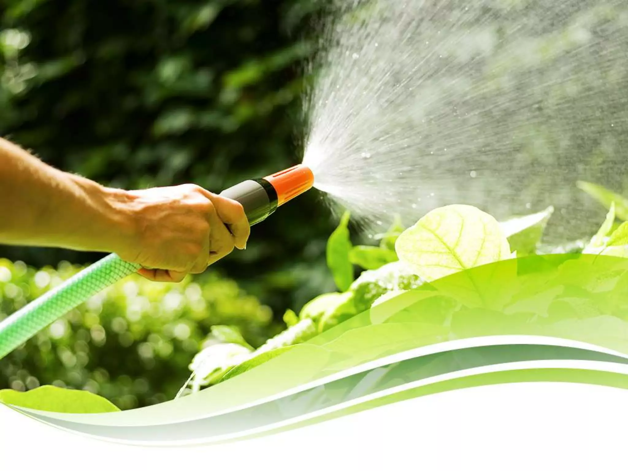 Insuring Social Justice through Food Security