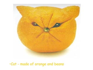 •Cat - made of orange and beans