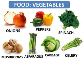 FOOD: VEGETABLES
ONIONS
MUSHROOMS
PEPPERS
SPINACH
CELERYCABBAGEASPARAGUS
 