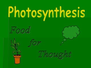 Food Thought for Photosynthesis 