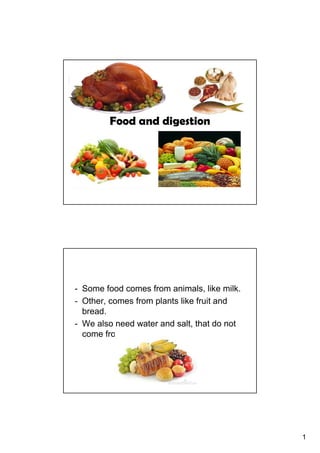 1
Food and digestion
- Some food comes from animals, like milk.
- Other, comes from plants like fruit and
bread.
- We also need water and salt, that do not
come from plants or animals.
 
