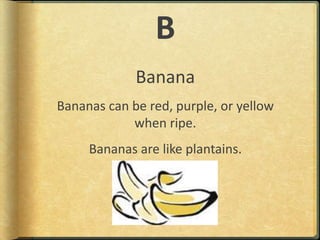 BBananaBananas can be red, purple, or yellow when ripe.Bananas are like plantains.
